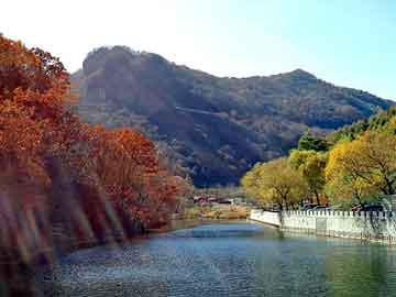 管家婆黑白马报图库，波峰焊配件